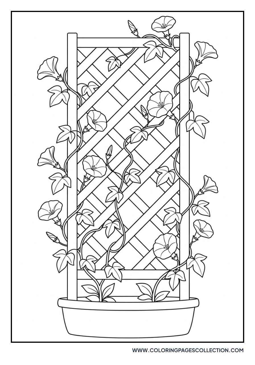 Morning Glory Trellis
