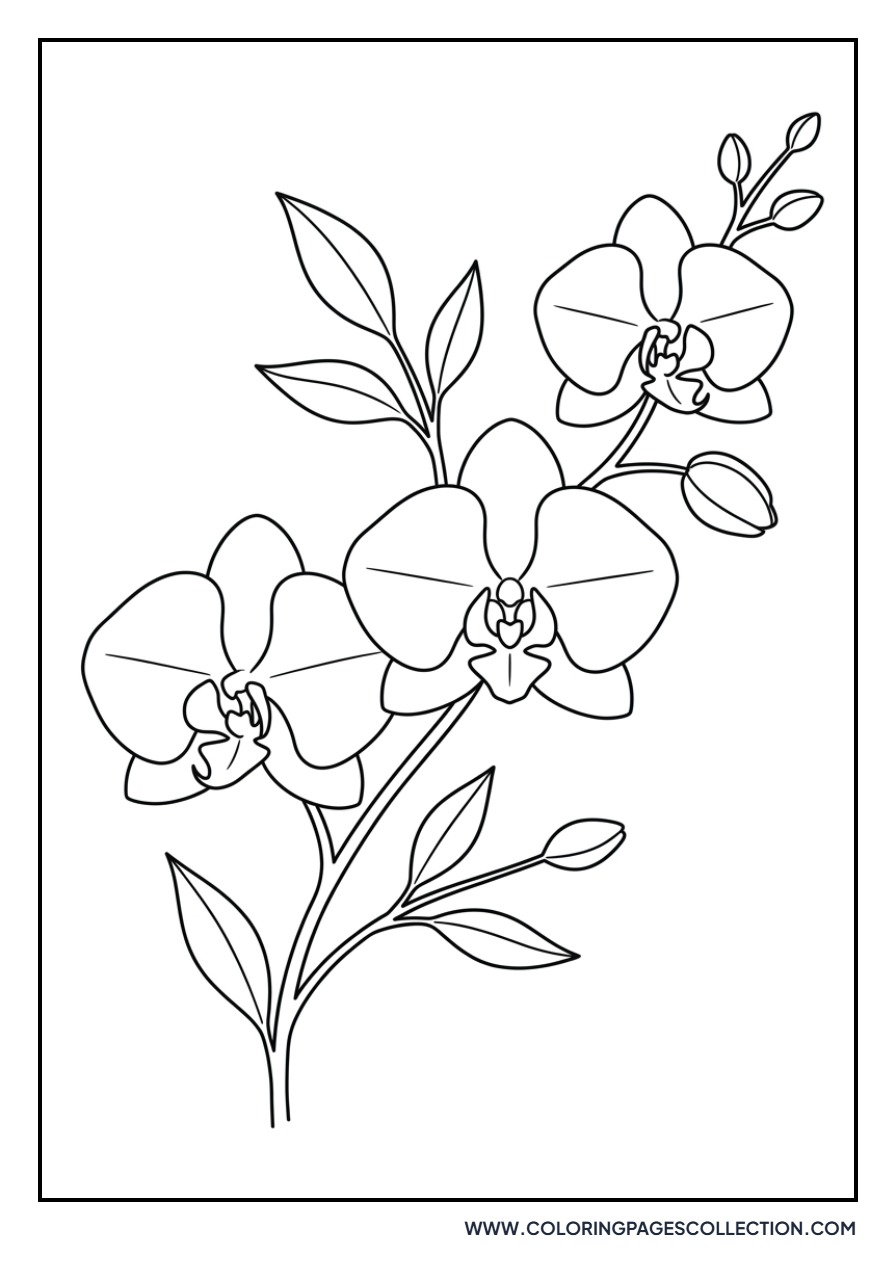 Orchid Branch with Blooms