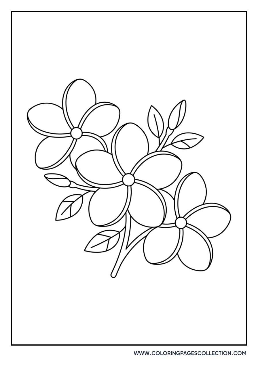 Plumeria Tropical Flower