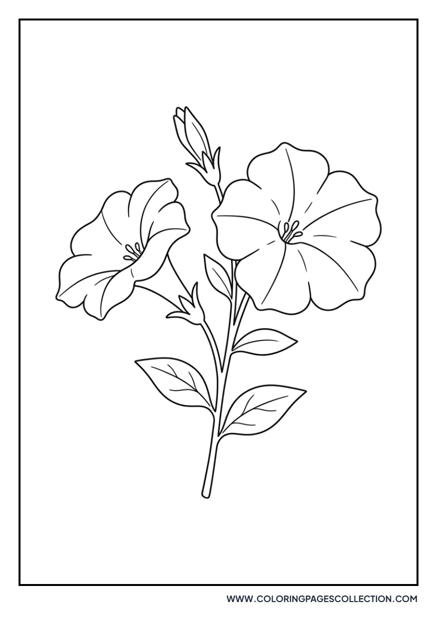 Simple Petunia Patch