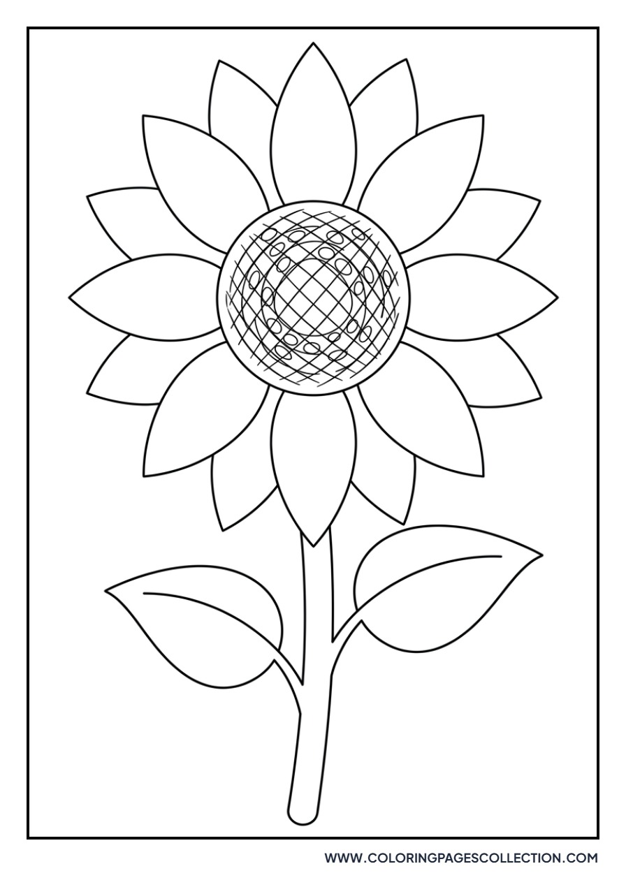 Simple Sunflower Bloom