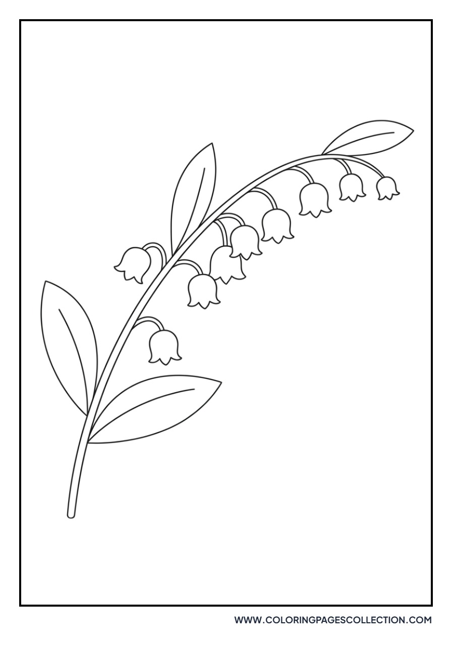 Single Lily of the Valley