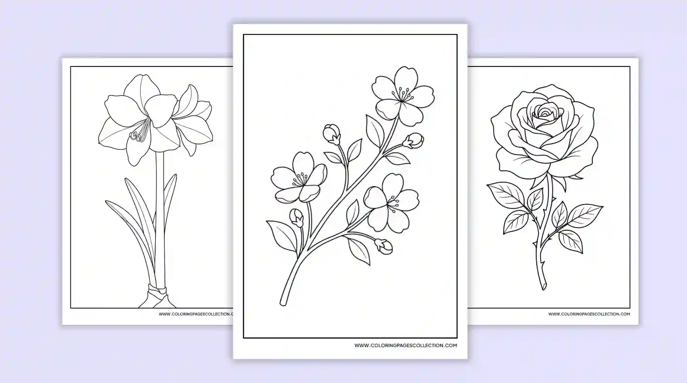 coloringpagescollection.com