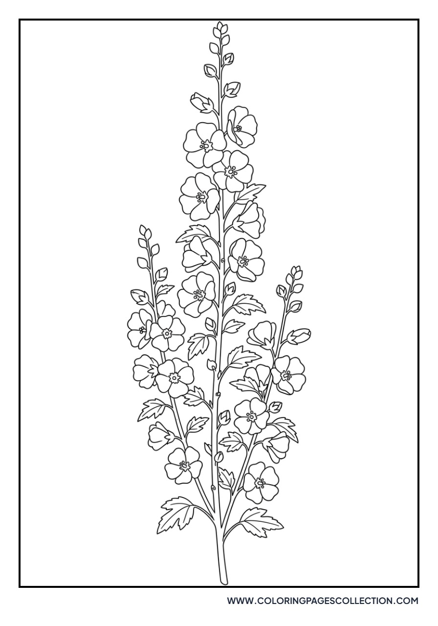 Stately Hollyhock