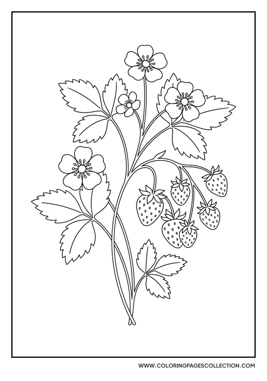 Strawberries and Blossoms