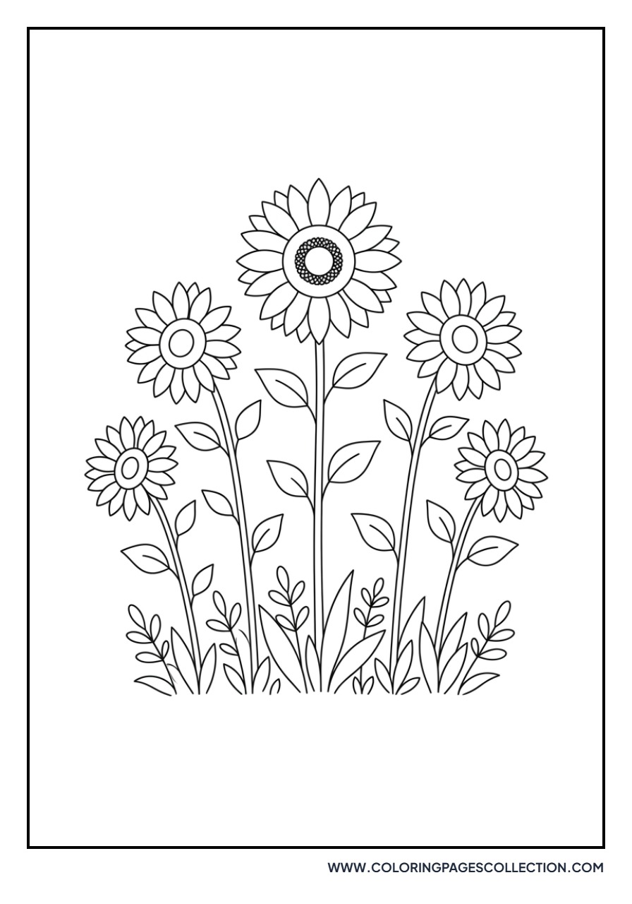 Wild Sunflower Field