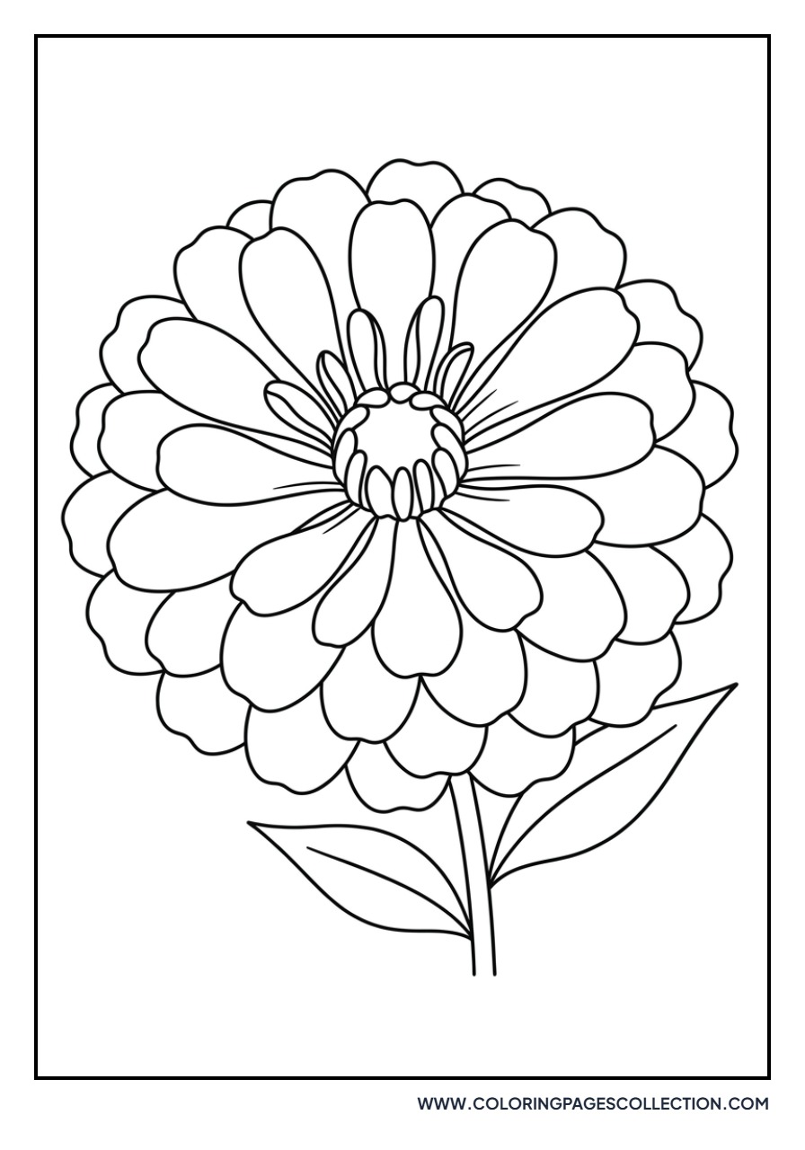 Zinnia Garden Bloom