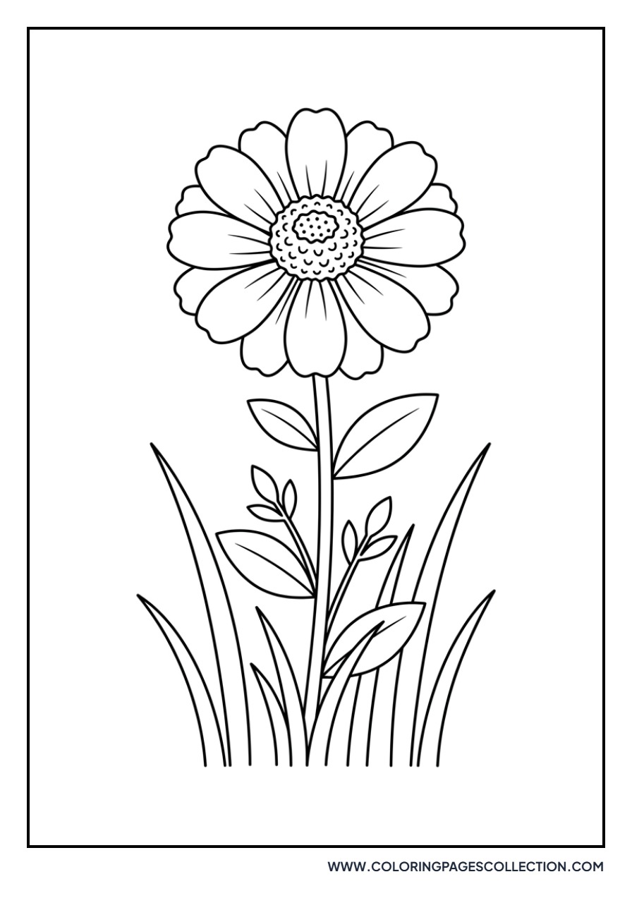 Zinnia in the Grass