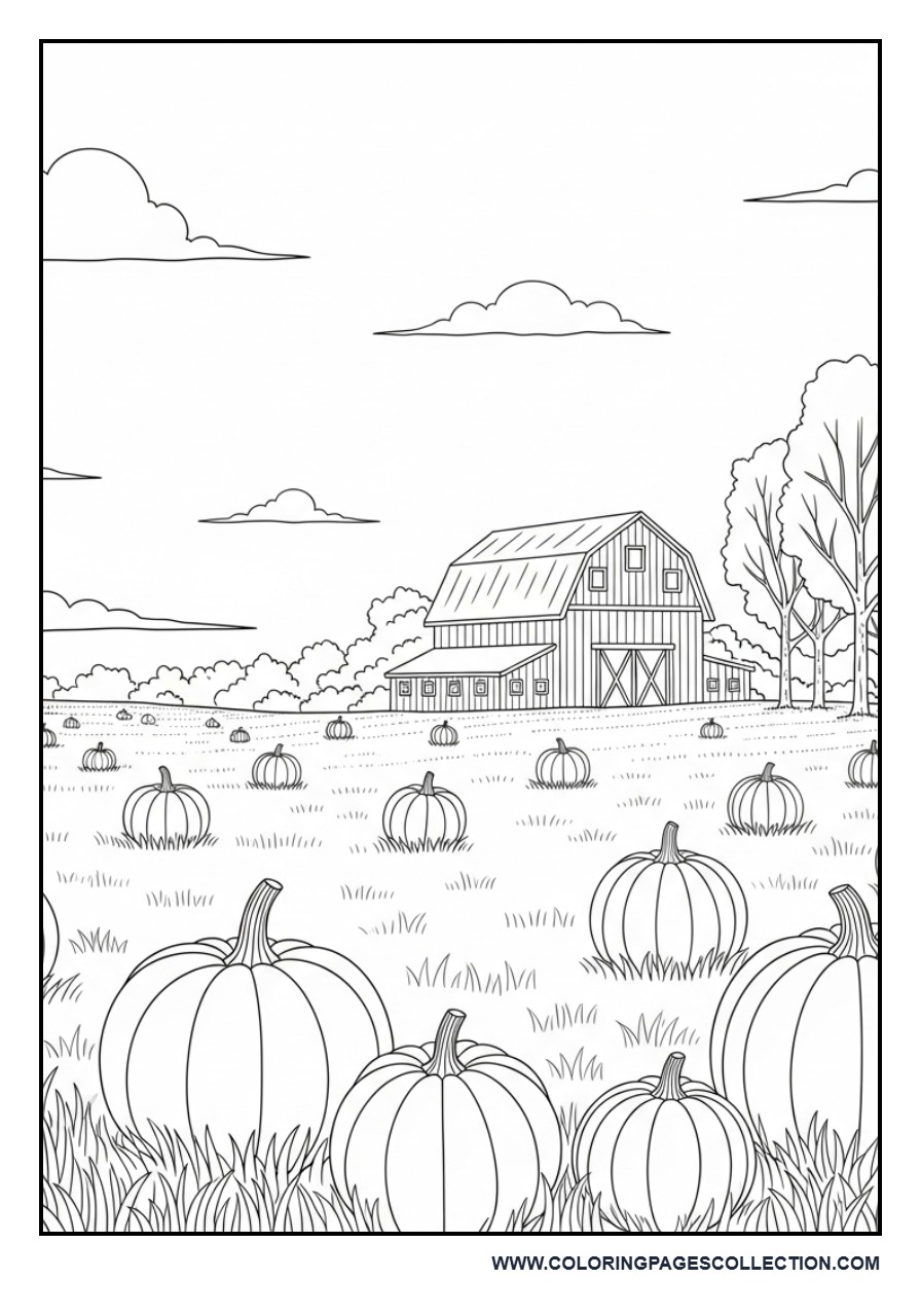 Pumpkin Farm Landscape