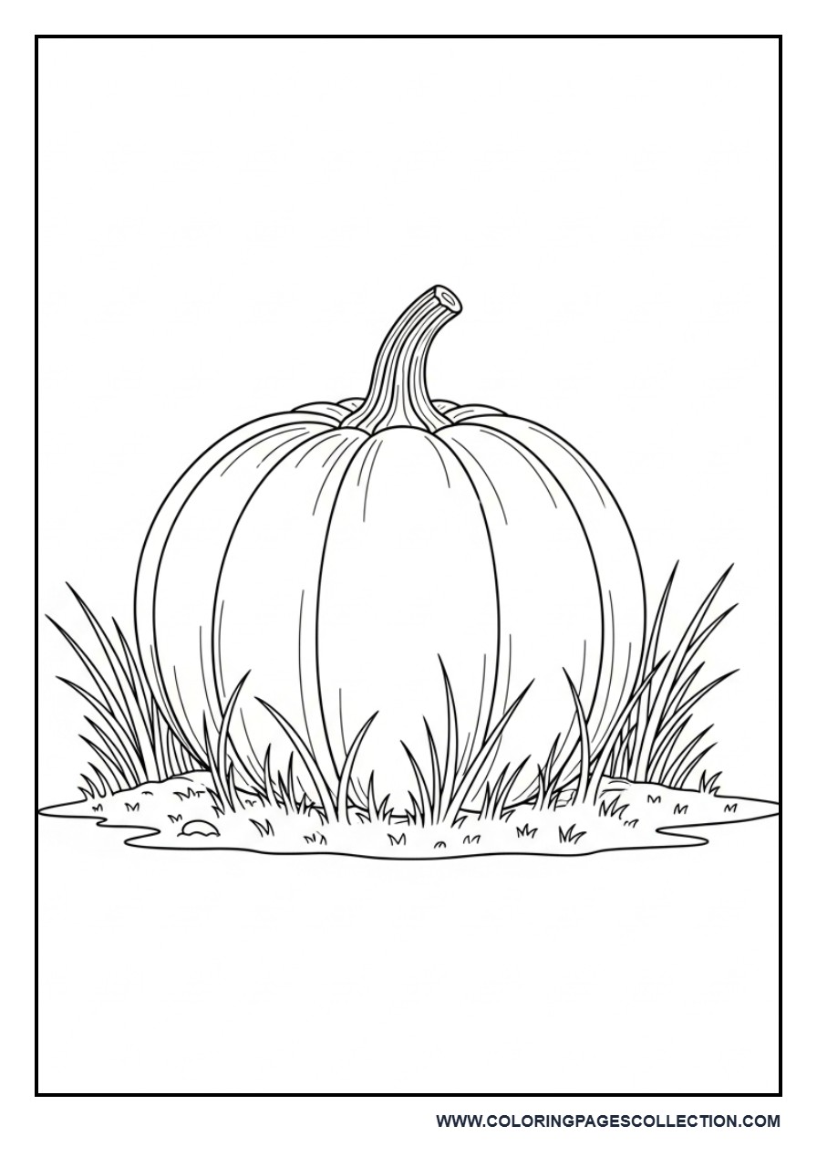 Pumpkin in Grass Patch