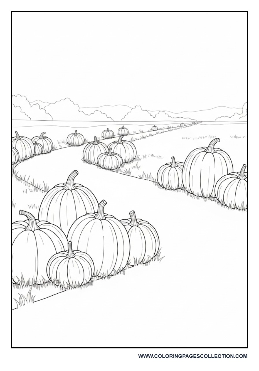 Pumpkin Patch with Pathway