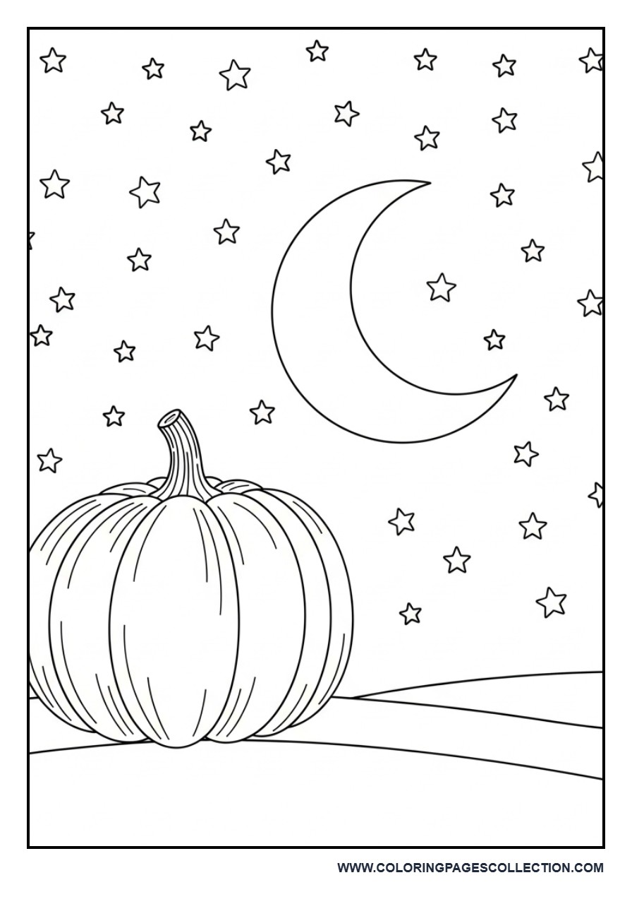 Pumpkin Under Starry Sky