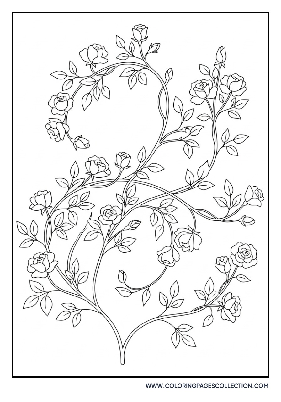 Detailed Climbing Rose