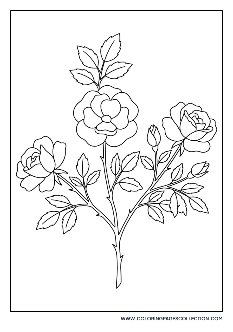 Garden Rose Bush