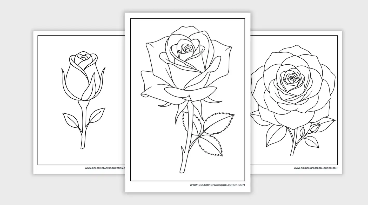 Rose Coloring Pages coloring pages