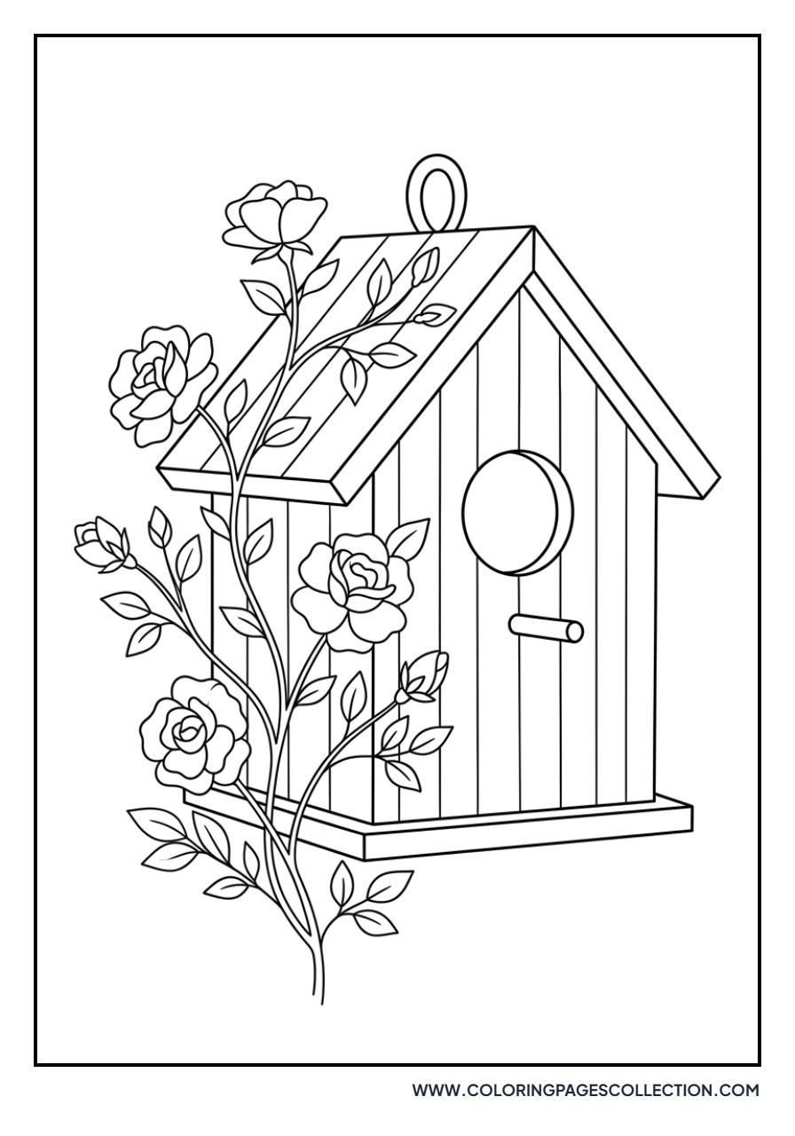 Rose and Birdhouse