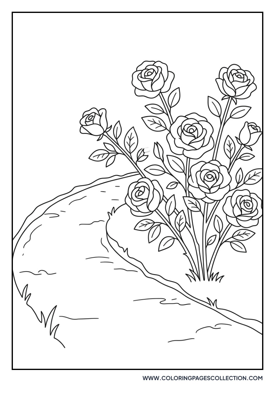 Rose and Garden Path