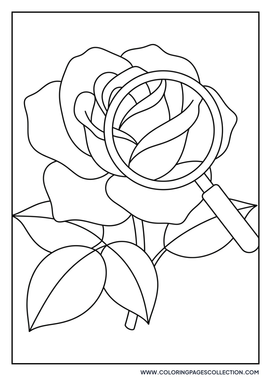 Rose and Hand Lens