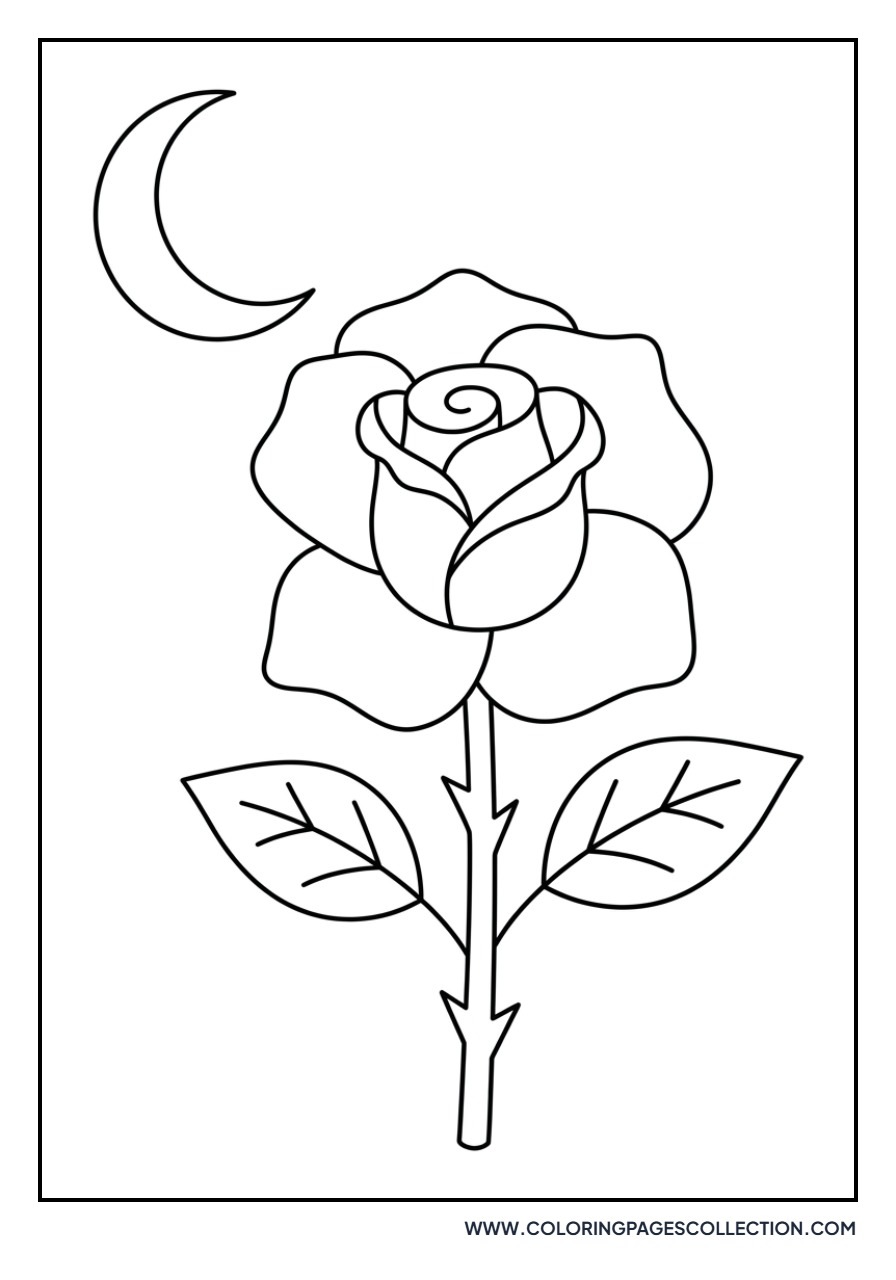 Rose and Moon