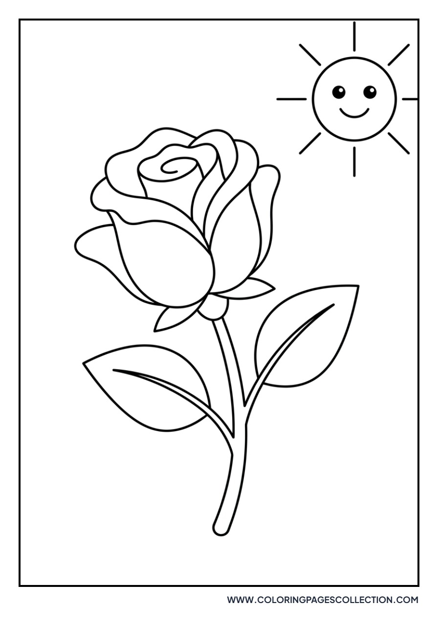 Rose and Sun Outline