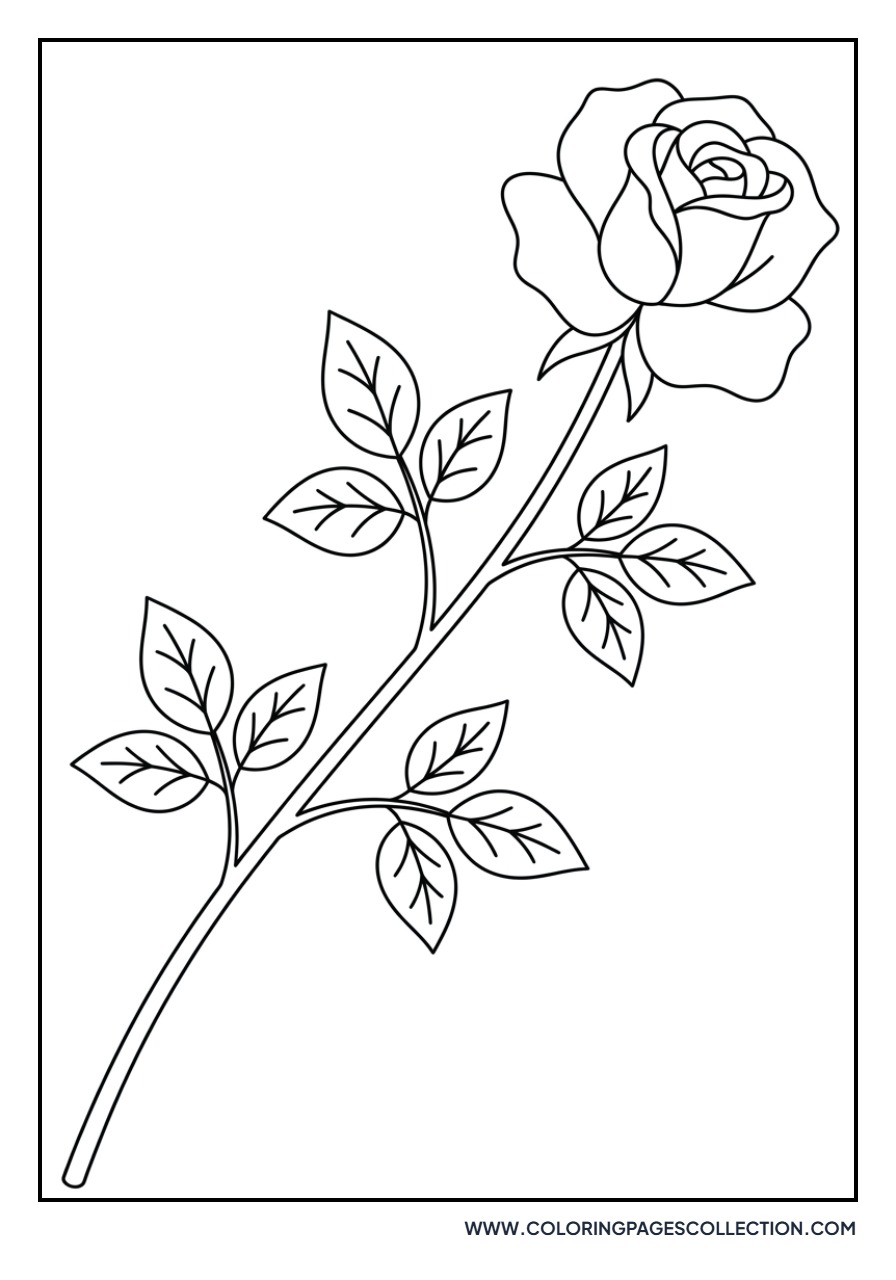 Rose Branch with Many Leaves