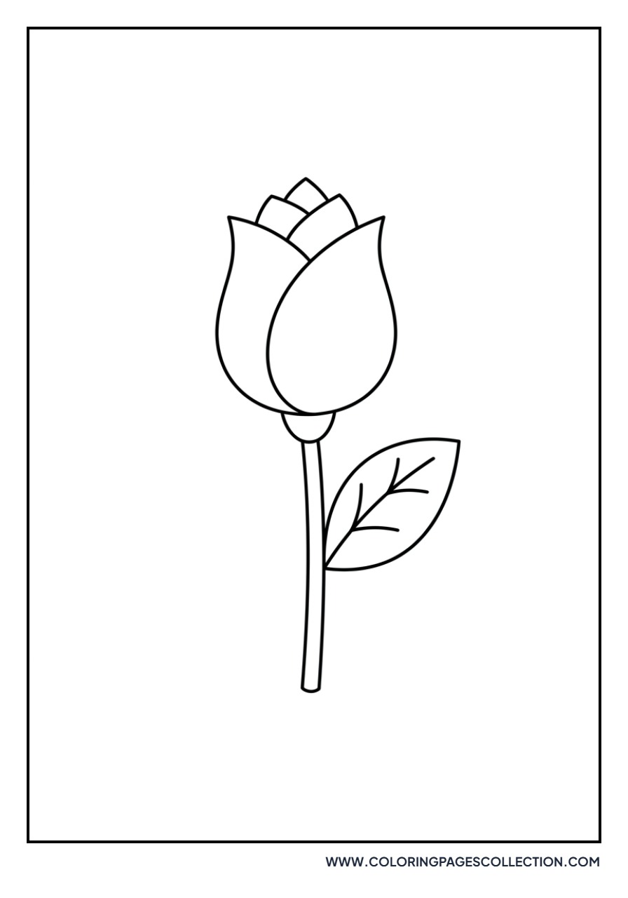 Rose Bud with One Leaf