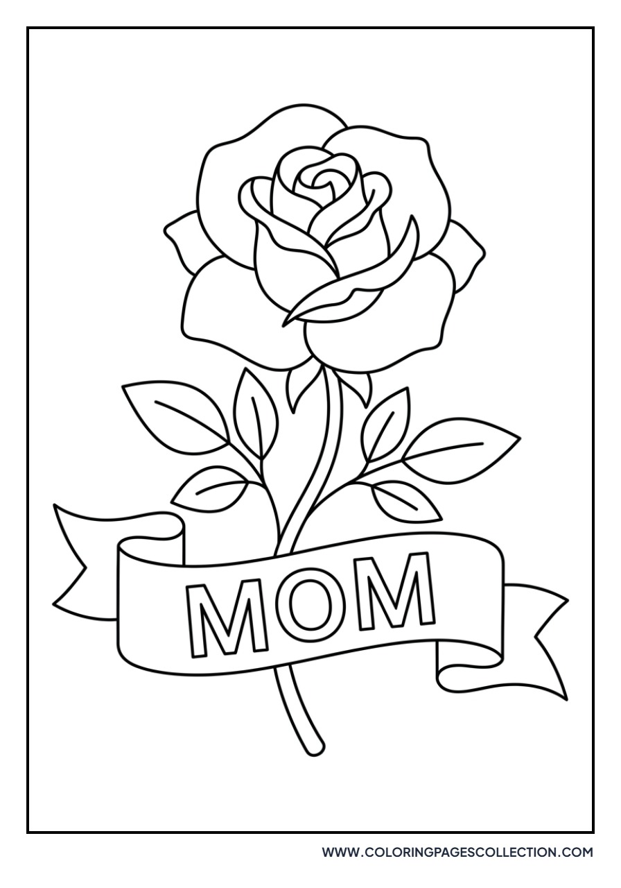 Rose for Mother's Day