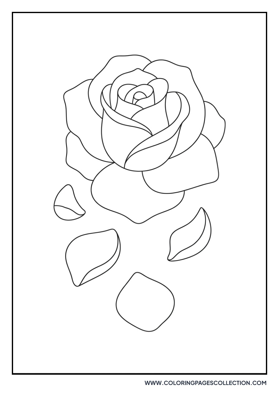 Rose Petals Falling