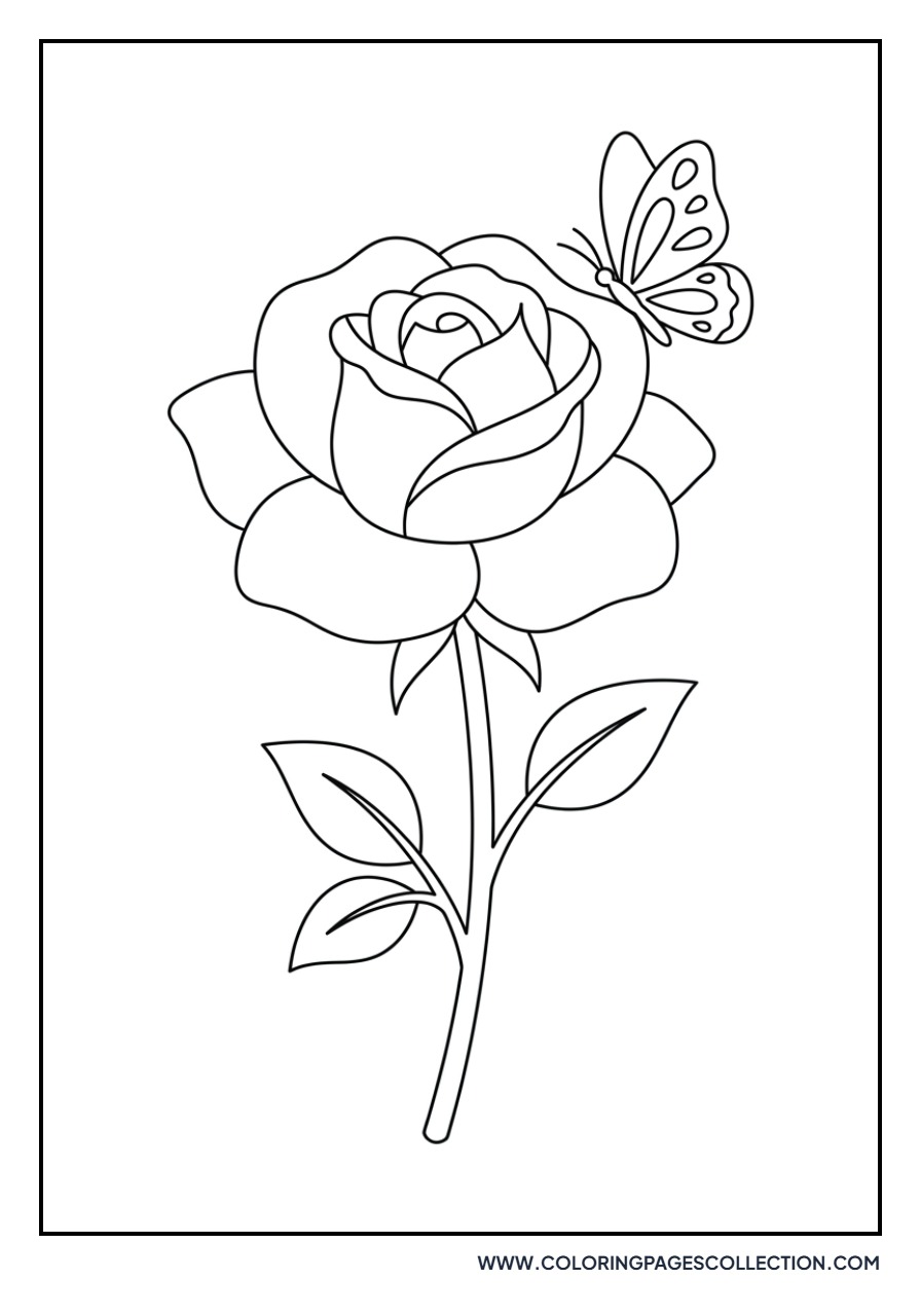 Rose with a Butterfly