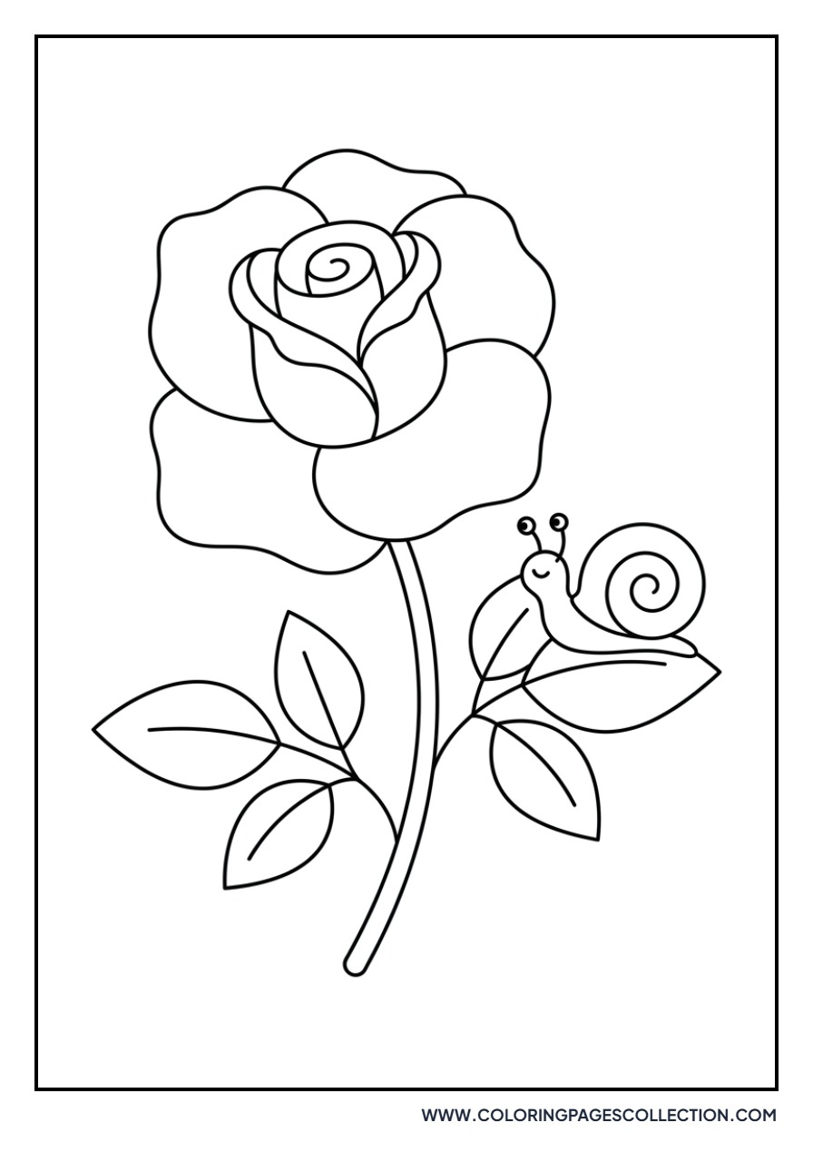 Rose with a Little Snail