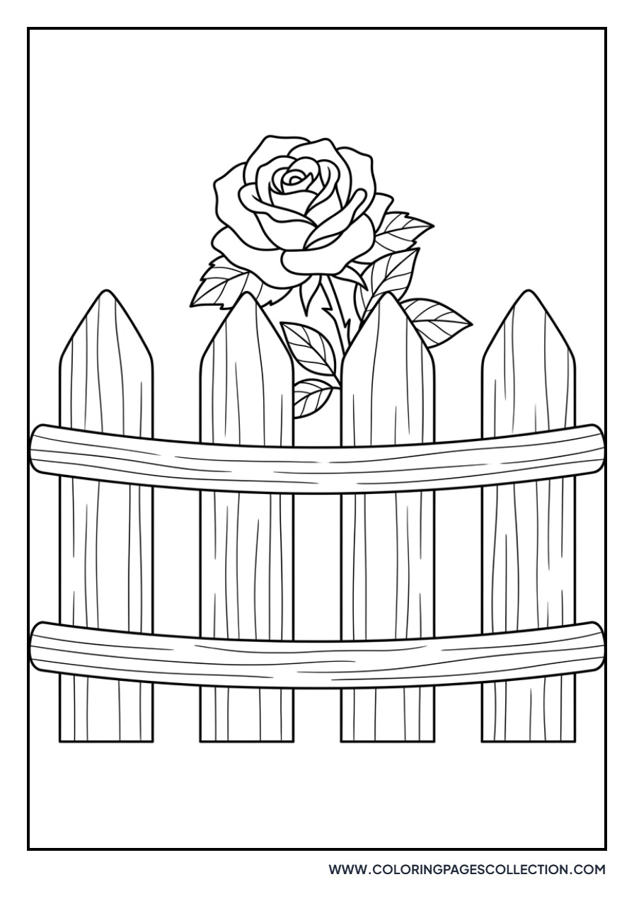 Rose with Garden Fence