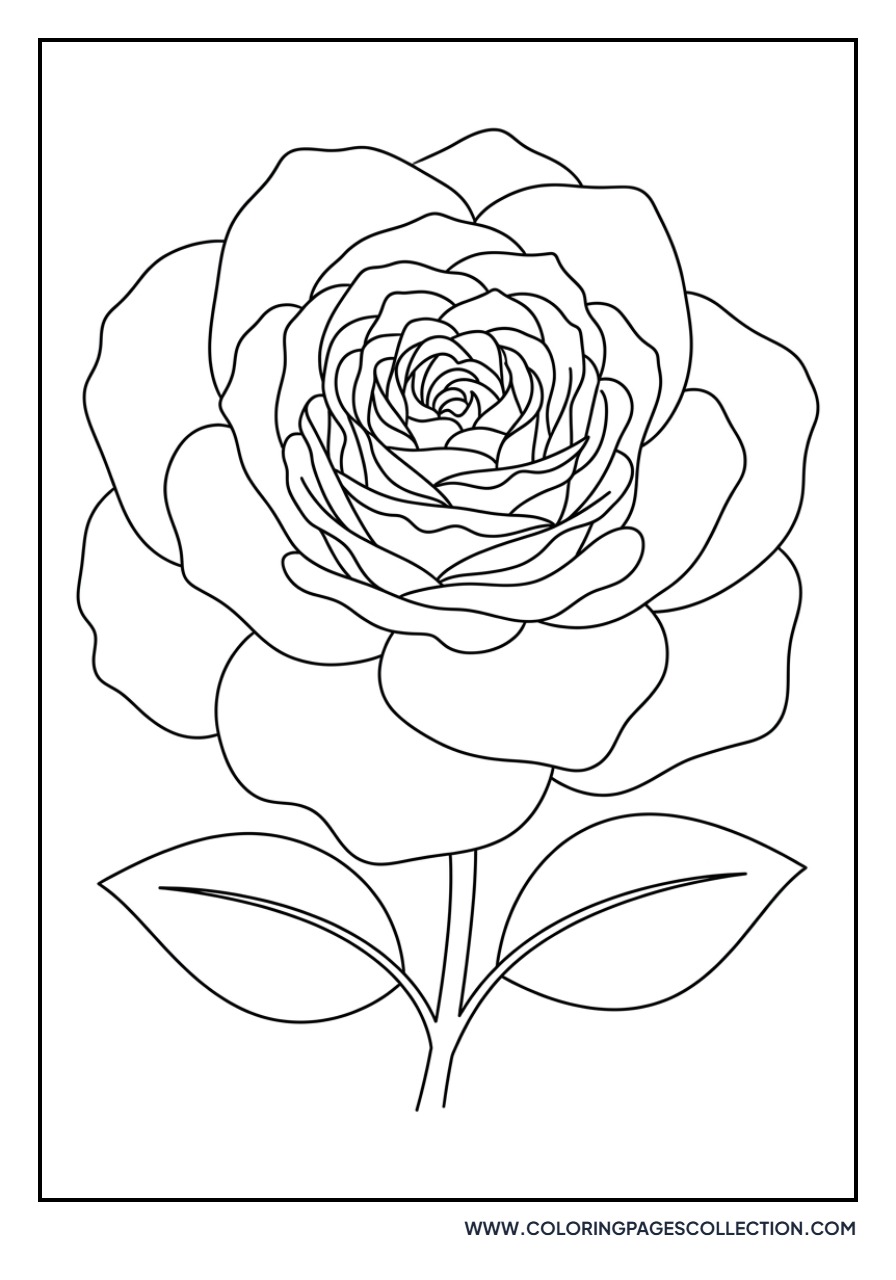Rose with Intricate Petals