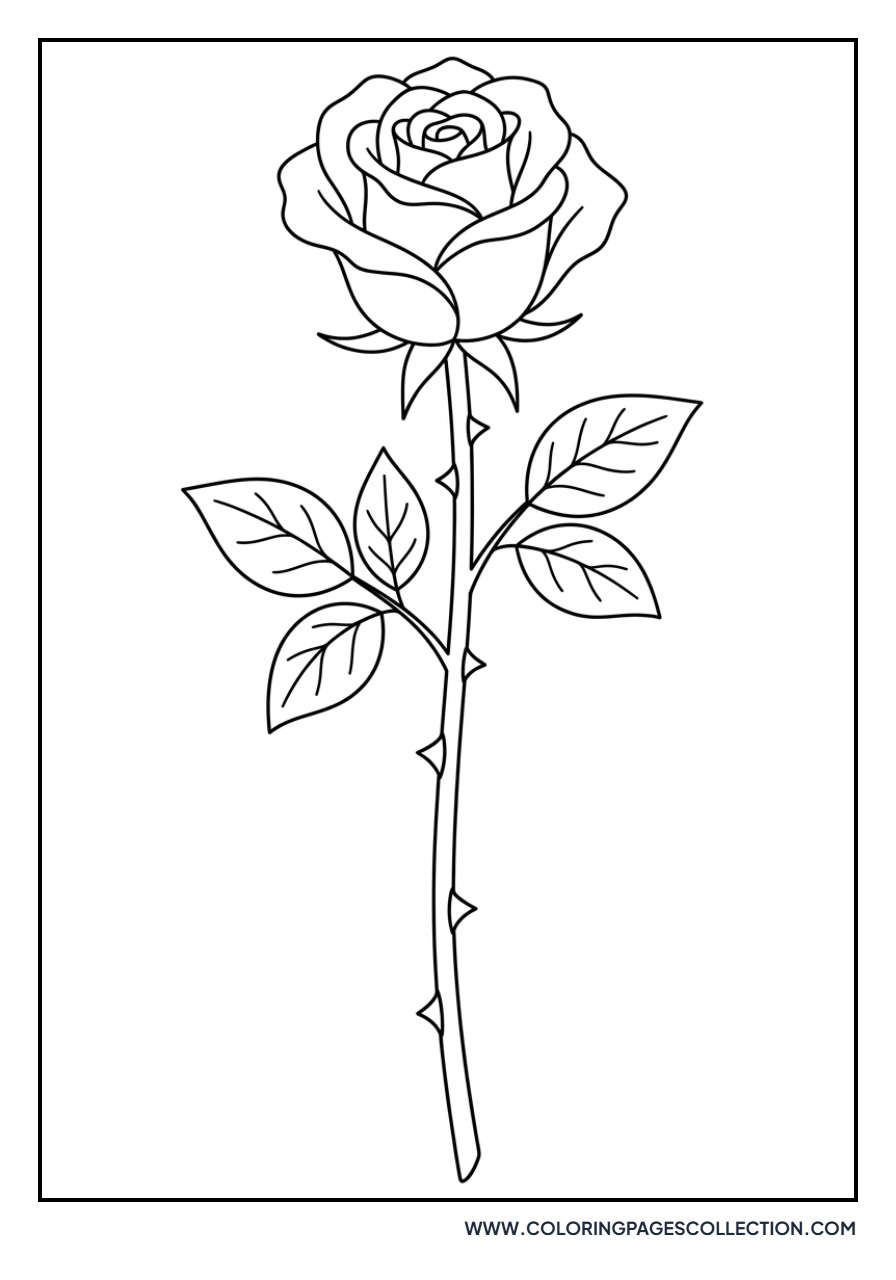 Rose with Long Stem and Thorns