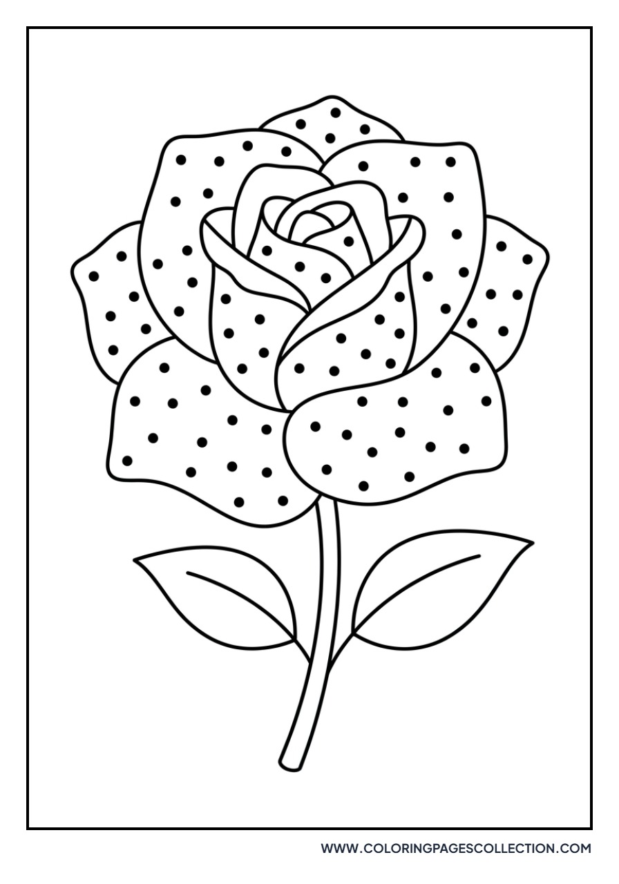 Rose with Polka Dot Pattern