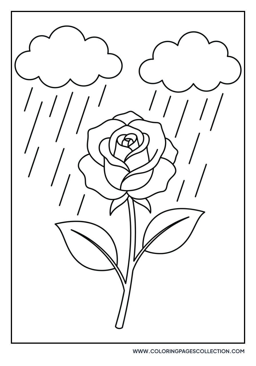 Rose with Rain Clouds