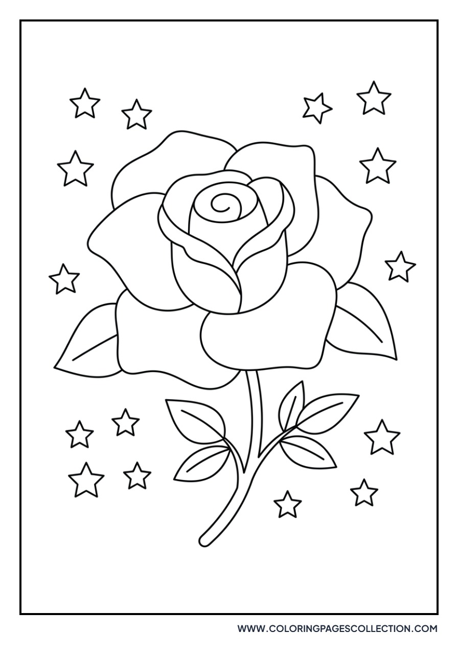 Rose with Stars