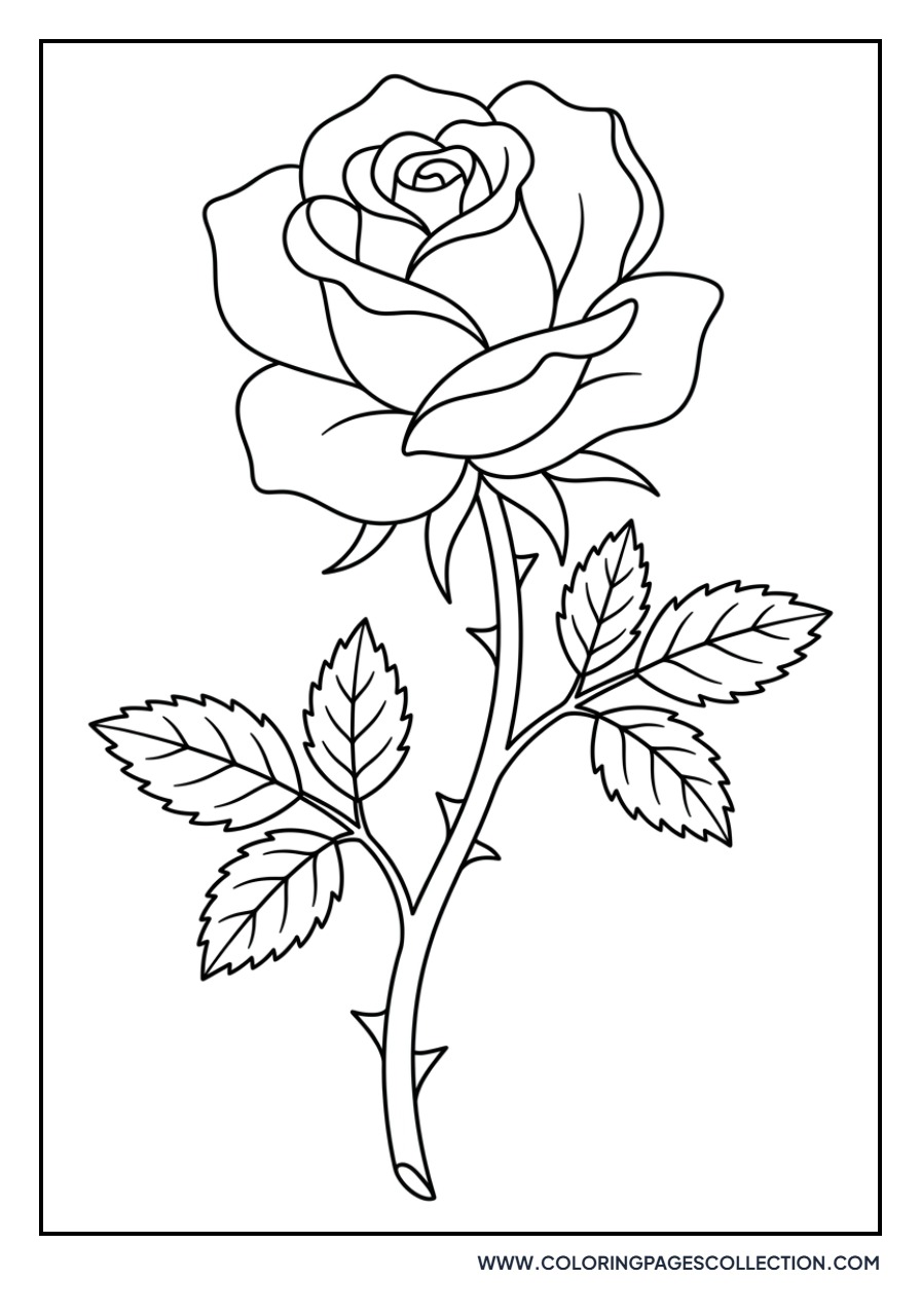 Rose with Thorns on Stem
