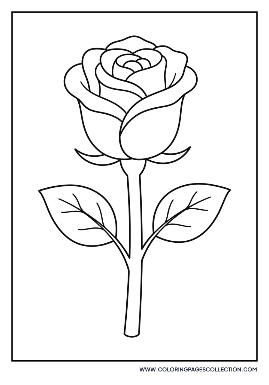 Single Rose Bloom with Stem