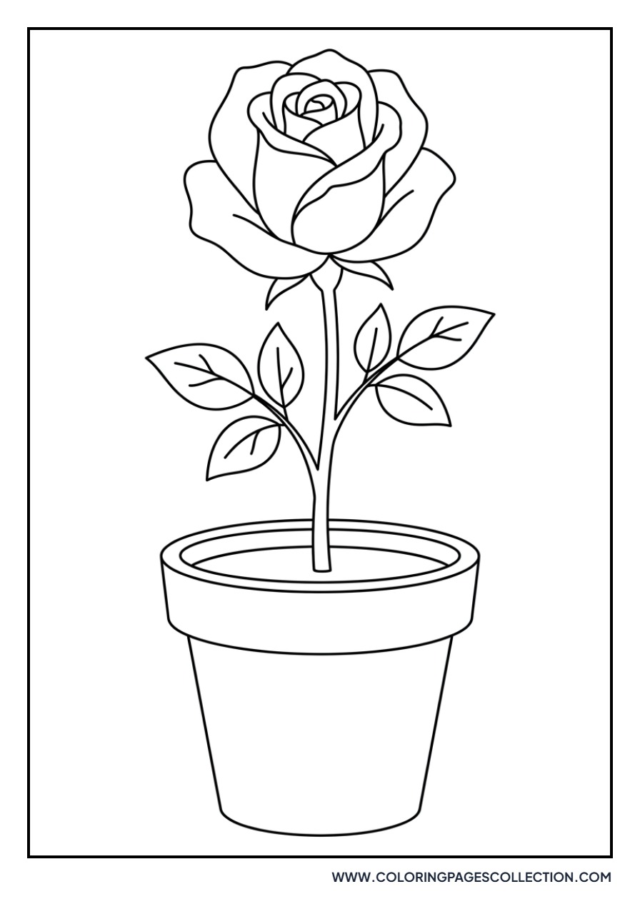 Small Rose in Pot