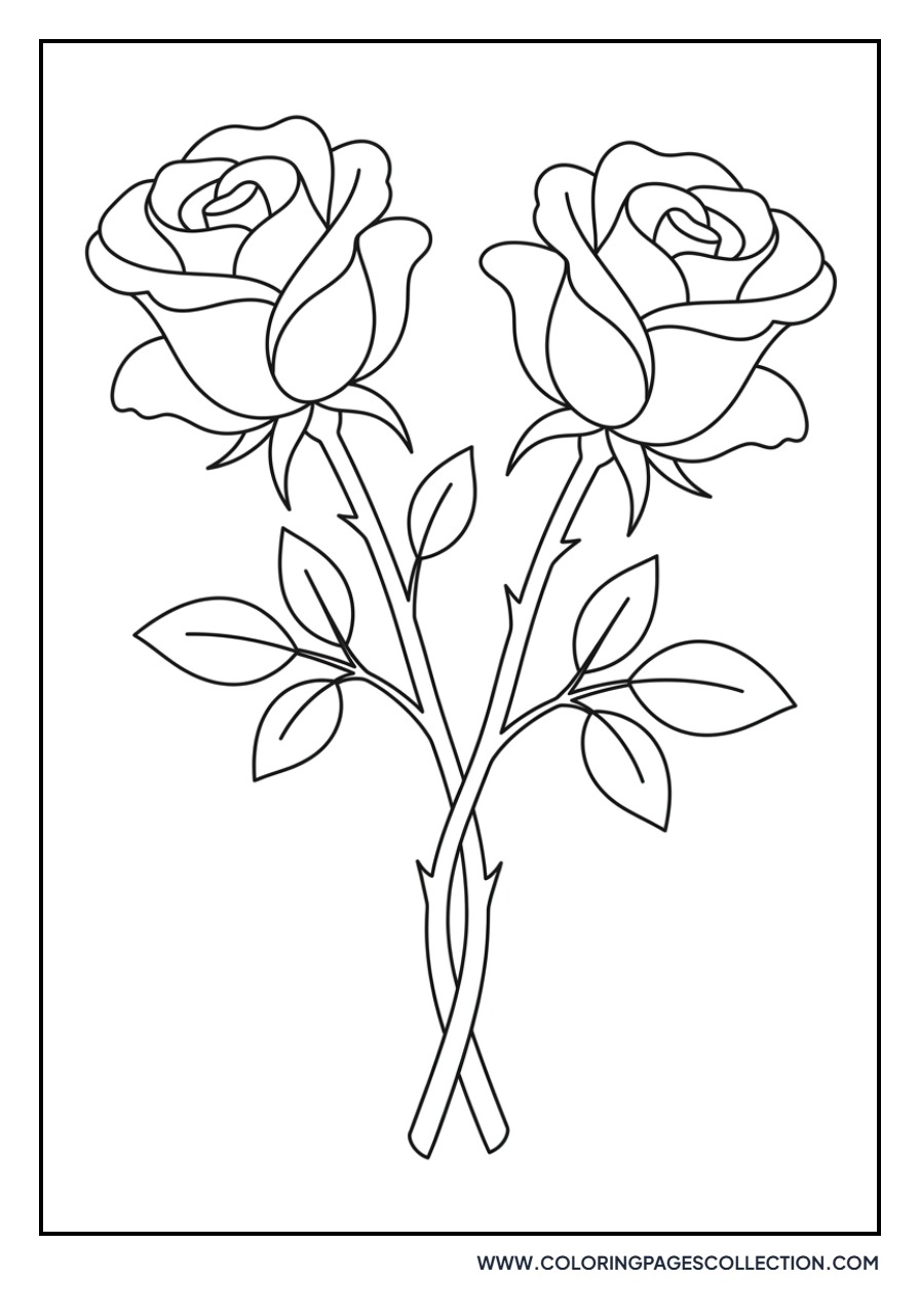 Two Roses Intertwined