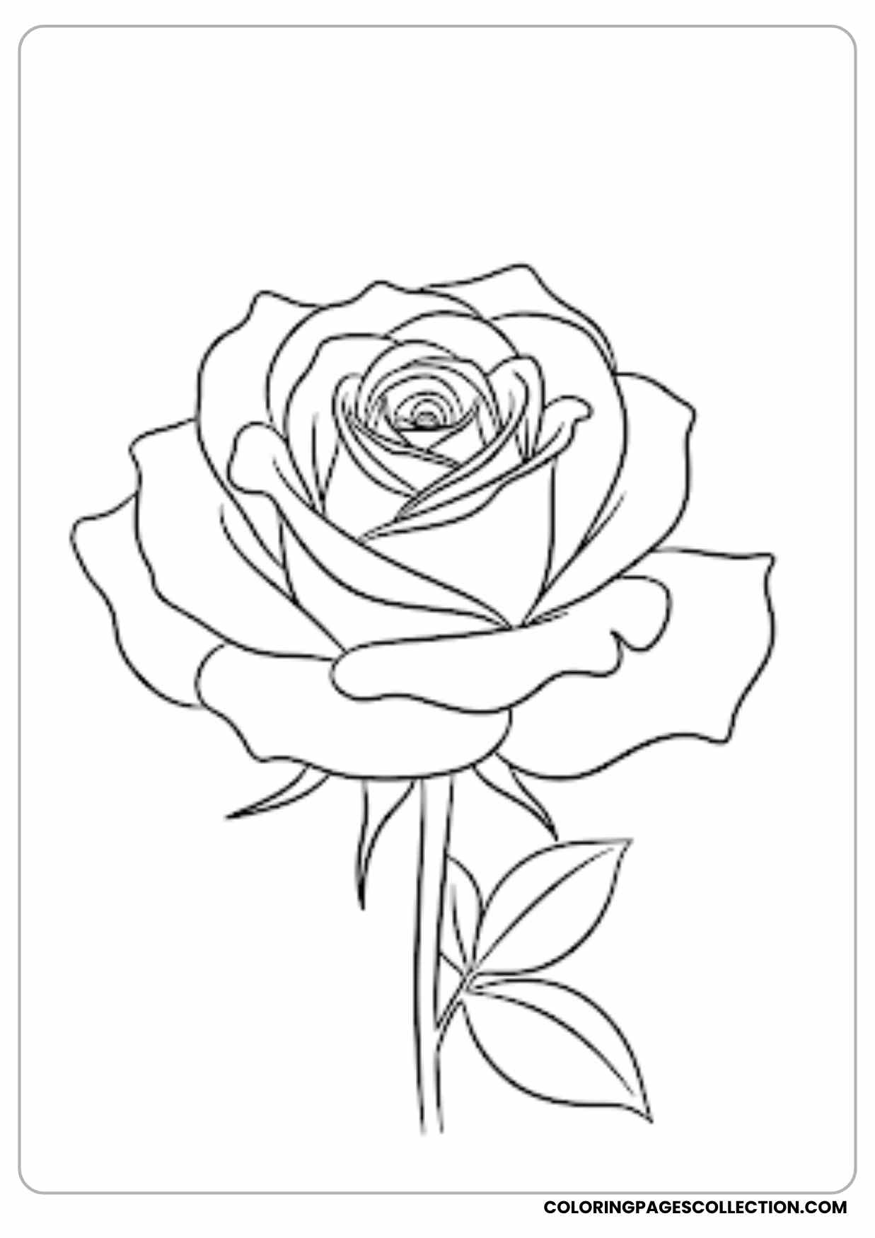 rose with cat coloring page