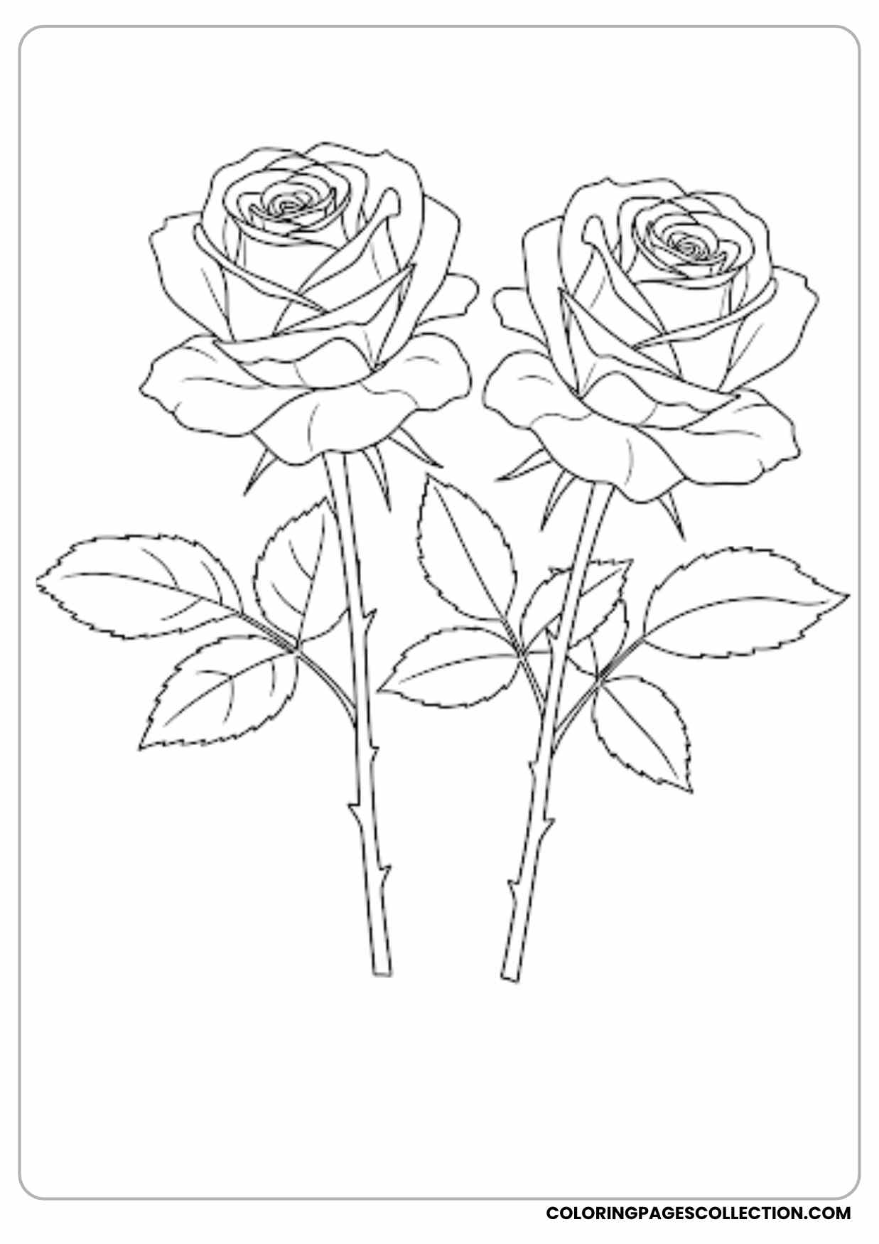 rose with tulip coloring page