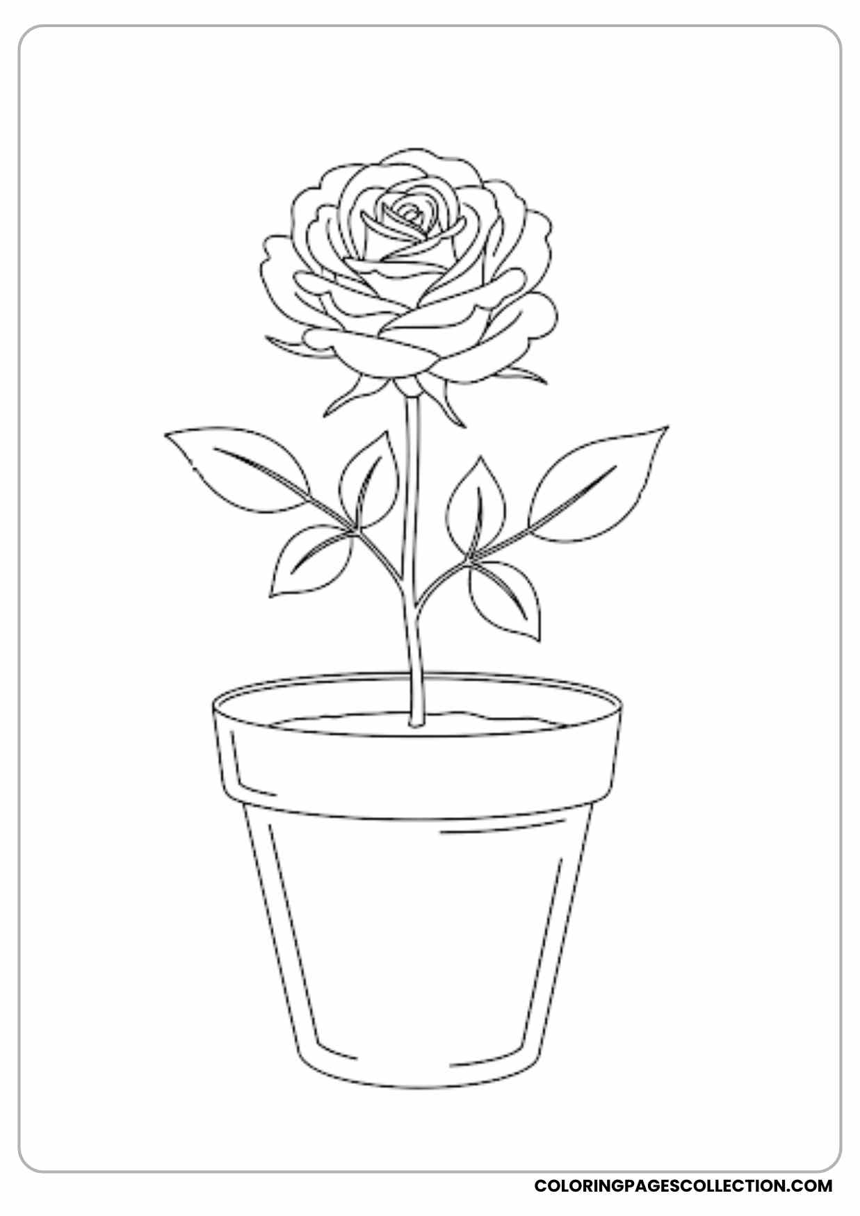 rose in vase coloring page