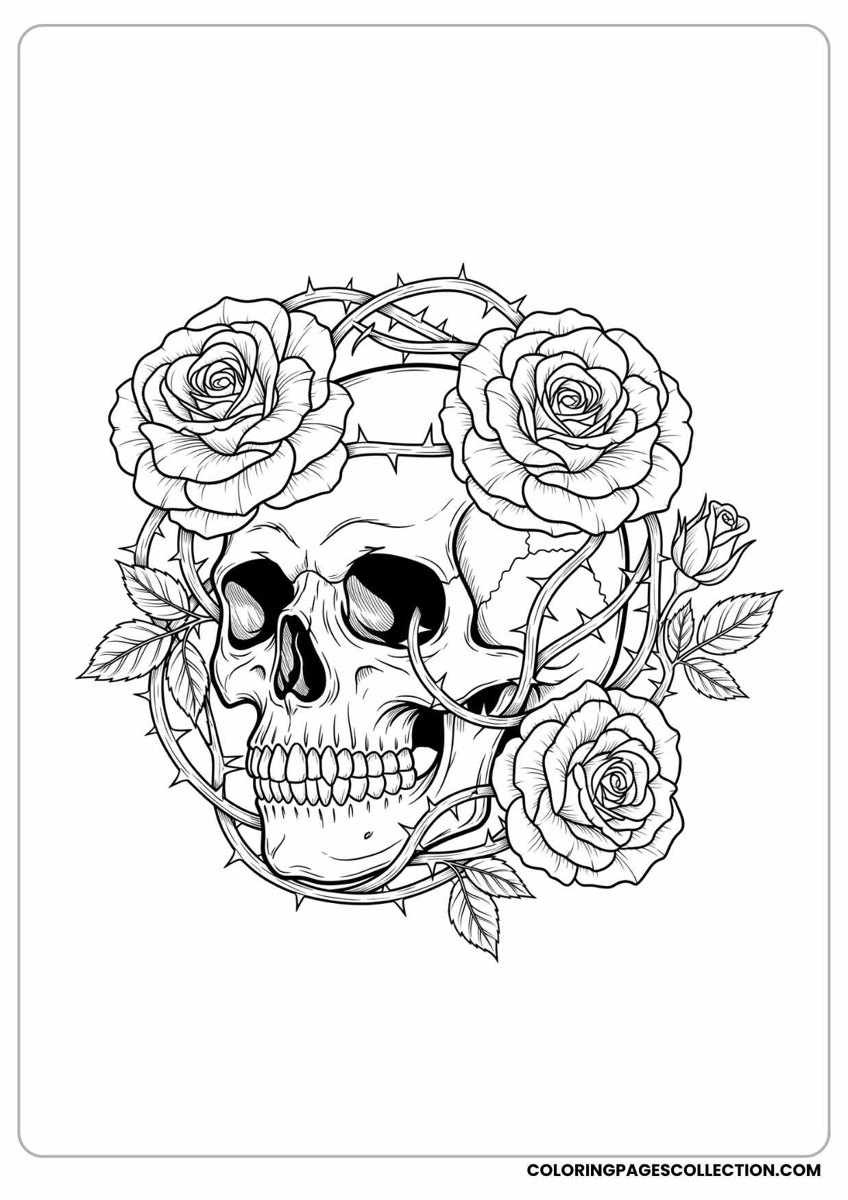 rose with vines coloring page