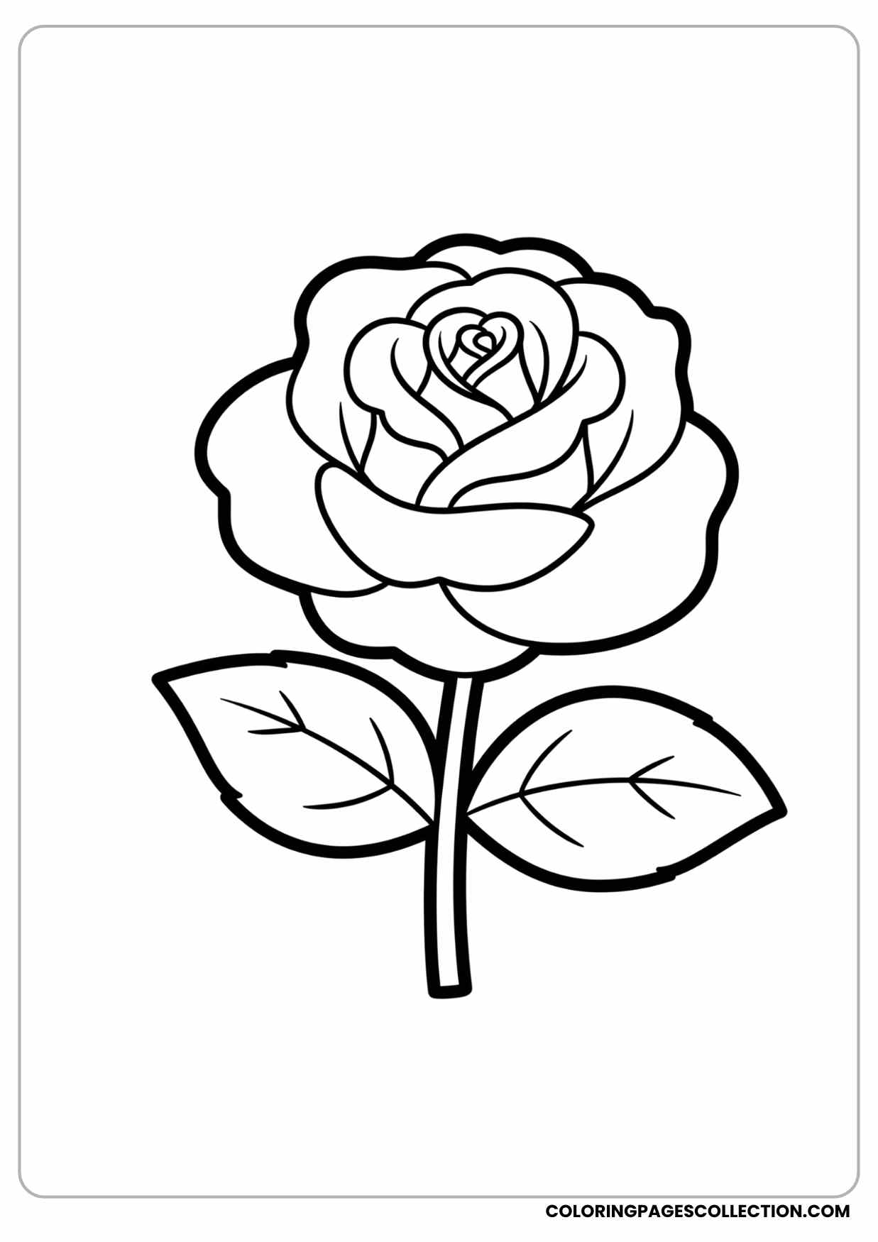 rose skull design coloring page