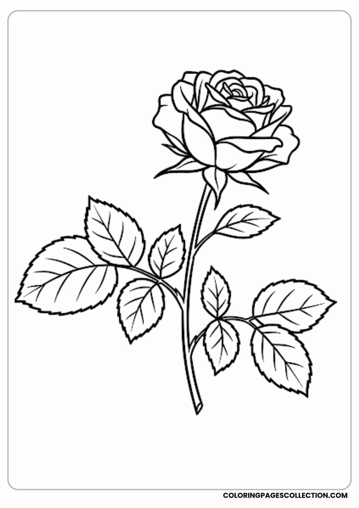 rose in stained glass coloring page