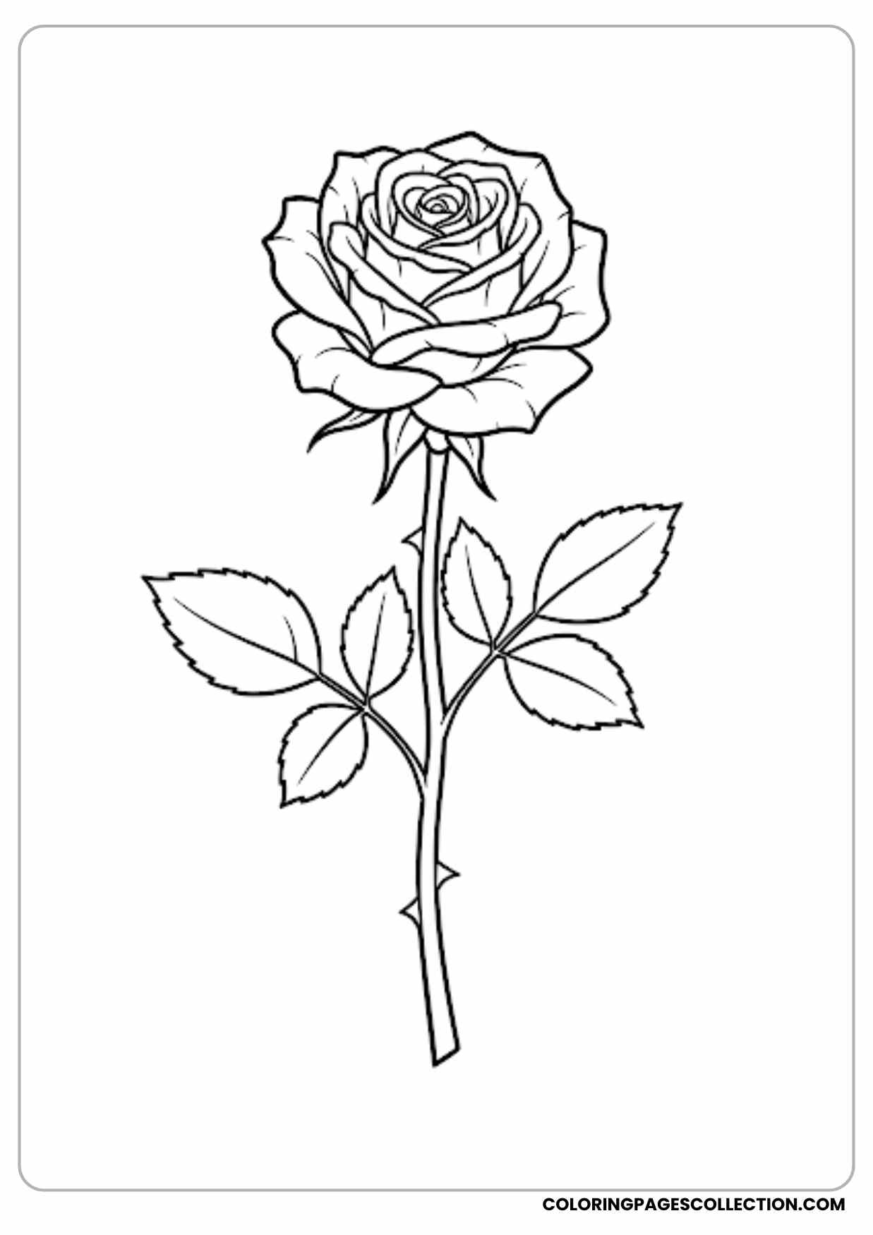 rose with lightning coloring page