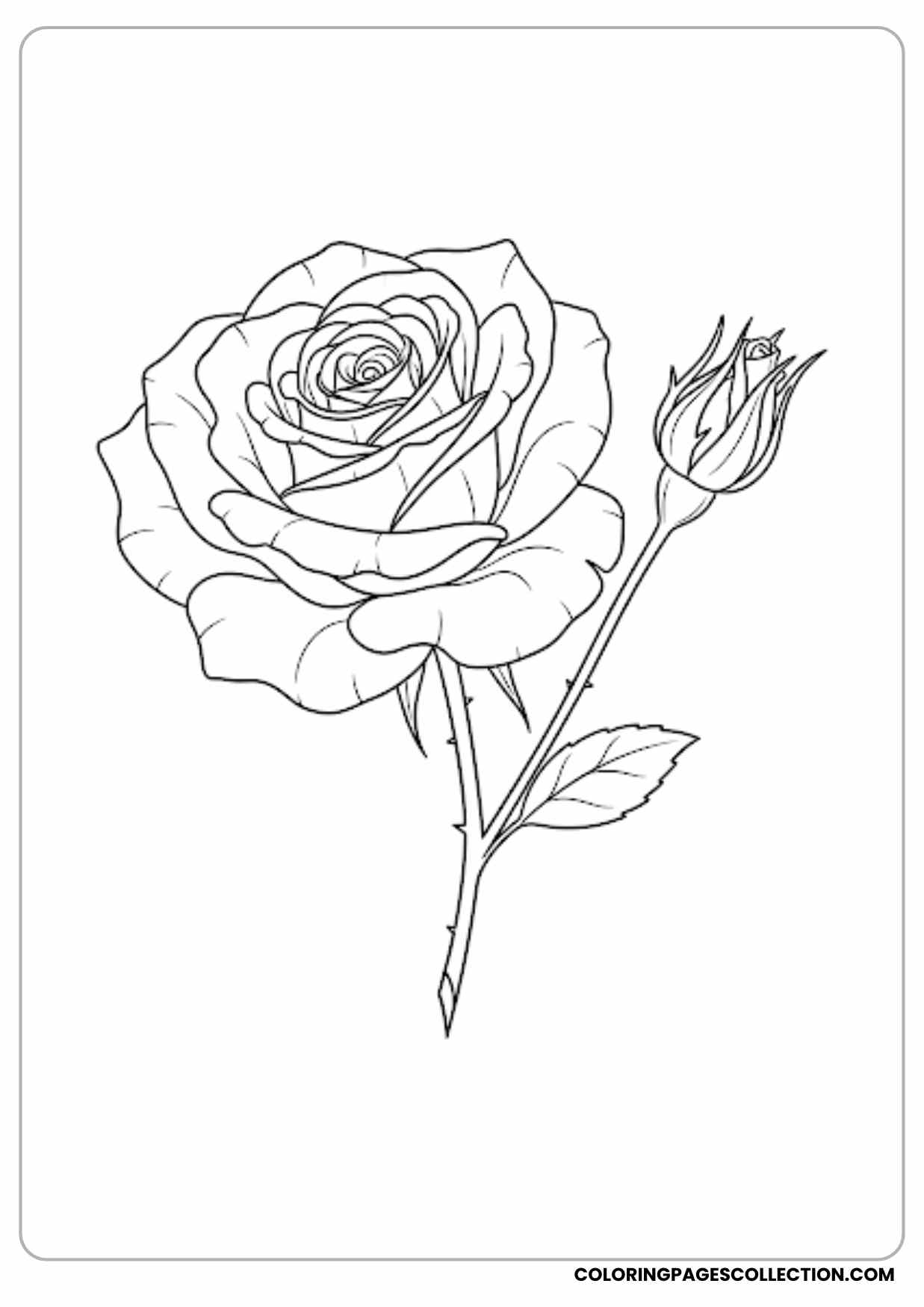realistic single rose coloring page
