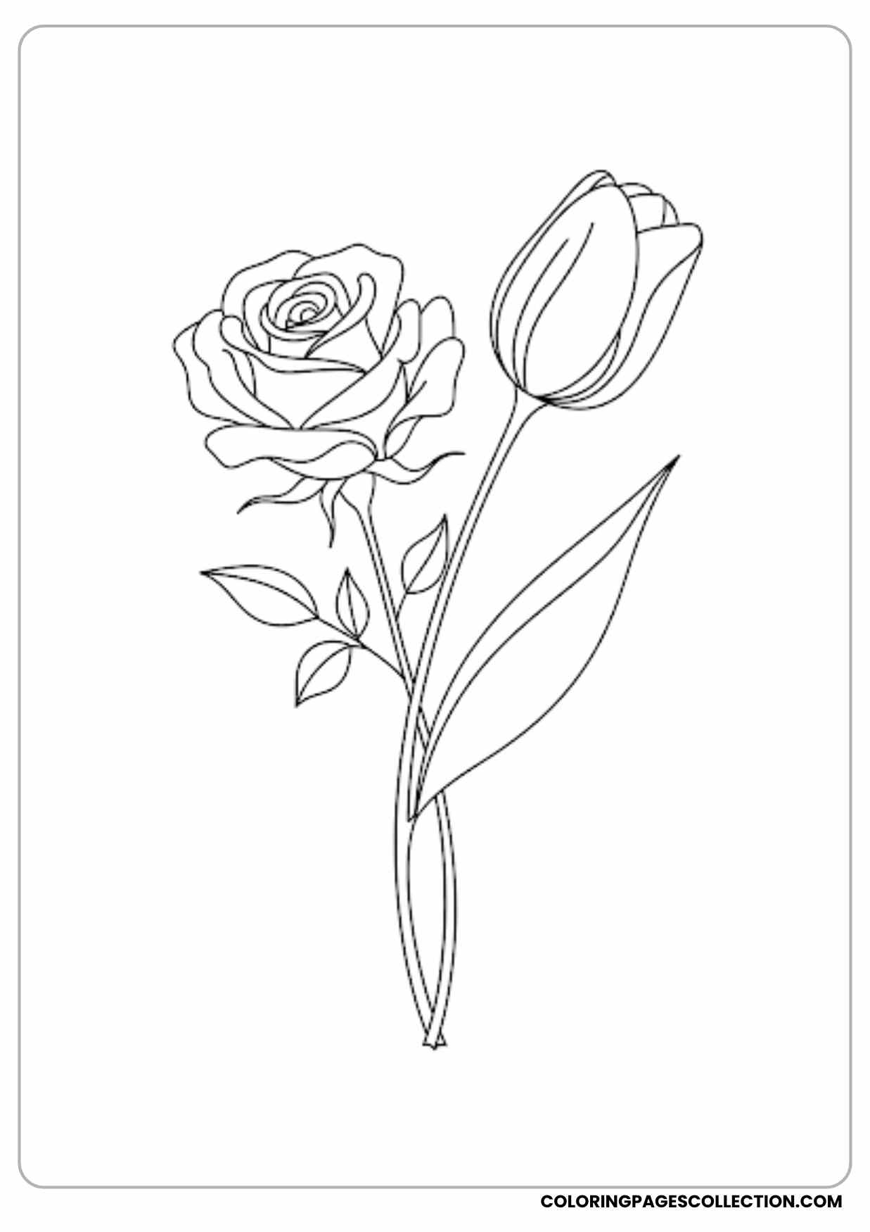 rose with paisley petals coloring page
