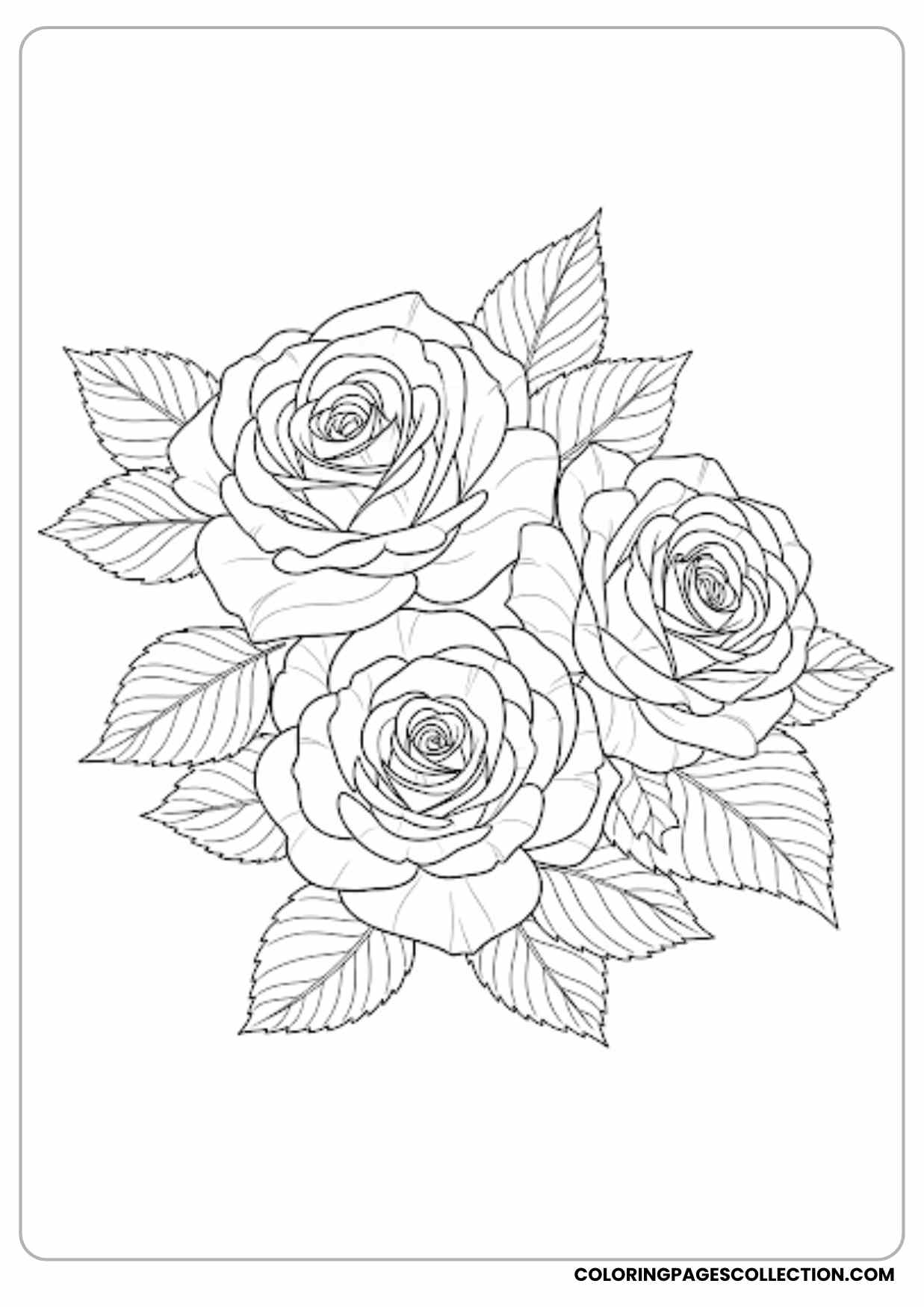 intricate rose mandala coloring page
